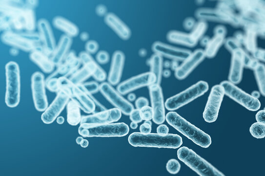 3D illustration of Enterobacteriaceae gram-negative rod-shaped bacteria, intestinal microbiome and pathogenic agents. 3D rendering illustration