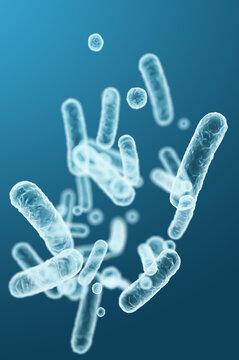 Medical 3D rendering of Enterobacteriaceae gram-negative rod-shaped bacteria, gut microbiome and infection causative agents. 3D rendering illustration