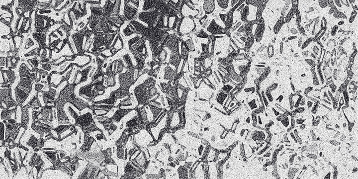 Detailed monochrome abstract background featuring a dense network of angular and organic shapes with a speckled, textured surface
