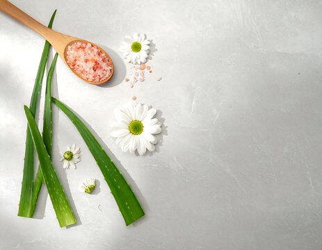 Pink Himalayan bath salt in a wooden spoon with aloe vera and chamomile flowers on light background