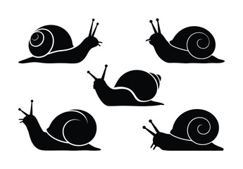 Five Black Silhouette Snails on a White Background © vector Art