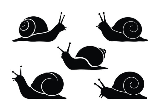 Five Black Silhouette Snails on a White Background