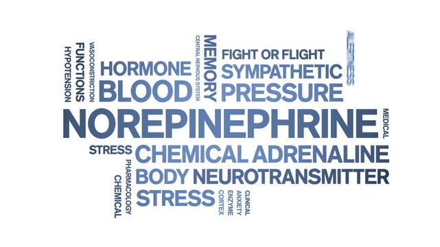 Norepinephrine animated word cloud-text design animation tag kinetic typography seamless loop.