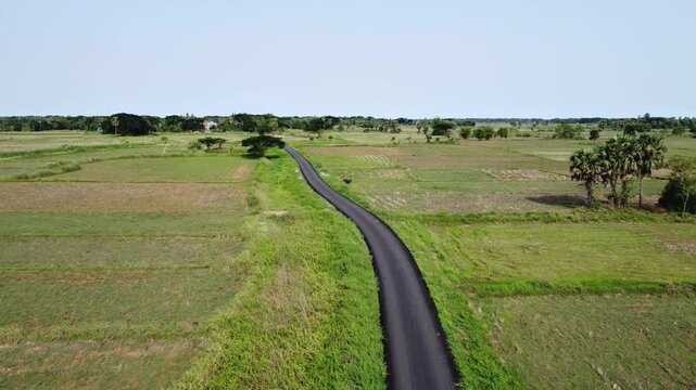 Aerial drone shot of a winding asphalt road curving through vast green agricultural fields. Beautiful panoramic footage of a remote rural road bordered by green grass and palmyra trees.