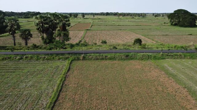 Aerial drone view of a lonely indian asphalt road passing through vast green agricultural fields. rural indian asphalt road cutting across patchwork farming land. Remote indian asphalt road.