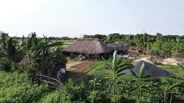 Indian village house with thatched roof surrounded by green banana trees. Rustic Indian village house and courtyard in a remote rural landscape of India. Indian house with mud wall and straw roof