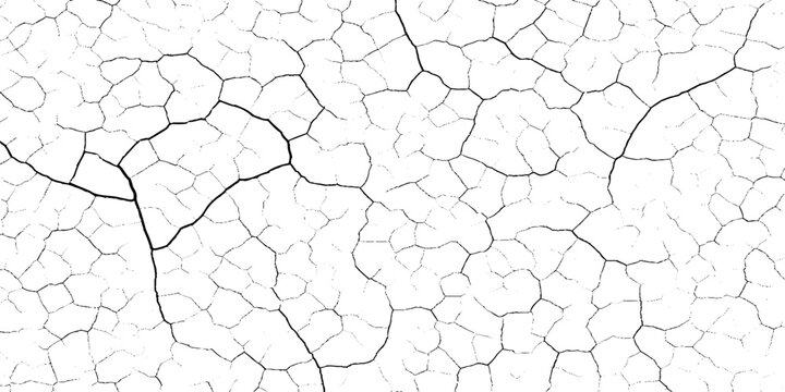 Cracked earth texture with black lines on white grunge  background, Dry soil pattern, Vector illustration for design and decoration