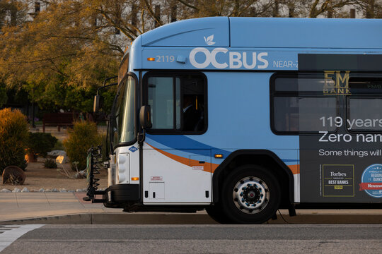 Fullerton, California, USA - May 15, 2026: An OC Bus from the Orange County Transit Authority passes along Nutwood Avenue.