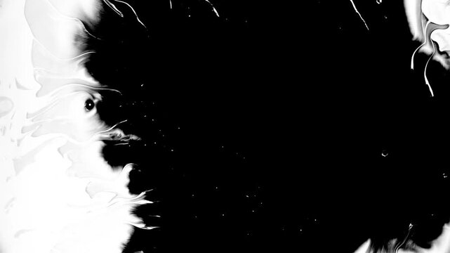 Organic Chinese Ink Explosion Abstract Video