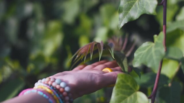 A girl's hand glides along the branch of a bush with beautiful leaves. A touching natural background, a close-up of a hand with a ring. Summer mood. A sense of freedom.