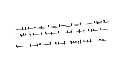 Fototapeta premium Silhouette illustration of small birds sitting on power lines or wire cables for minimalist nature and urban scenery design.