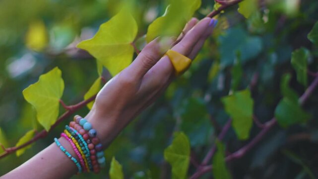 A girl's hand glides along the branch of a bush with beautiful leaves. A touching natural background, a close-up of a hand with a ring. Summer mood. A sense of freedom.