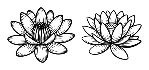 Fototapeta premium Two Black and White Line of Lotus Flowers