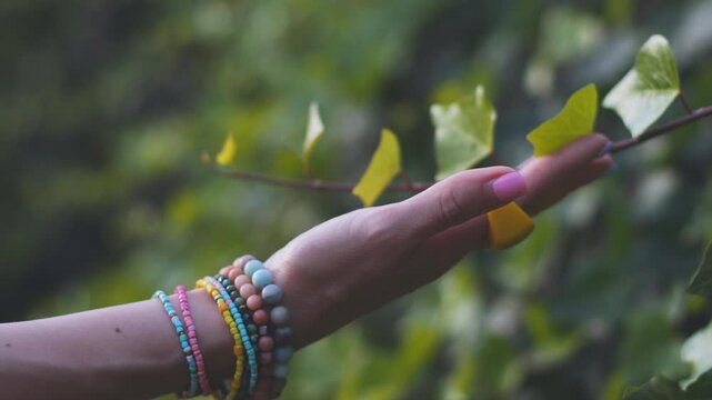 A woman's hand touches a green tree branch. The woman enjoys being at one with nature. A close-up of her hand with a ring and bracelets. Summer mood. A sense of freedom.