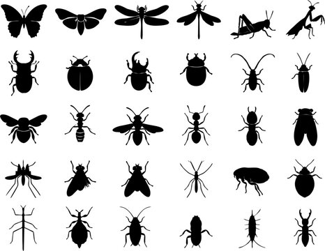 Collection of 30 insect silhouette icons in a clean minimalist vector style. Features various bugs and insects including butterfly, dragonfly, bee, ant, beetle, mosquito, fly, praying mantis, etc.