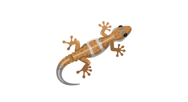 A small orange reptile with distinct markings on its back and tail is shown from an overhead perspective displaying its unique characteristics and textured skin in a well lit presentation
