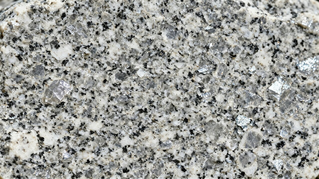 A close-up of polished granite showing speckled gray, white, and black mineral patterns.  