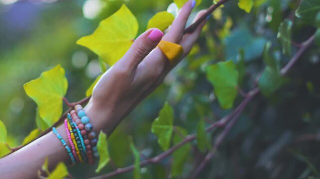 A woman's hand touches a green tree branch. The woman enjoys being at one with nature. A close-up of her hand with a ring and bracelets. Summer mood. A sense of freedom.