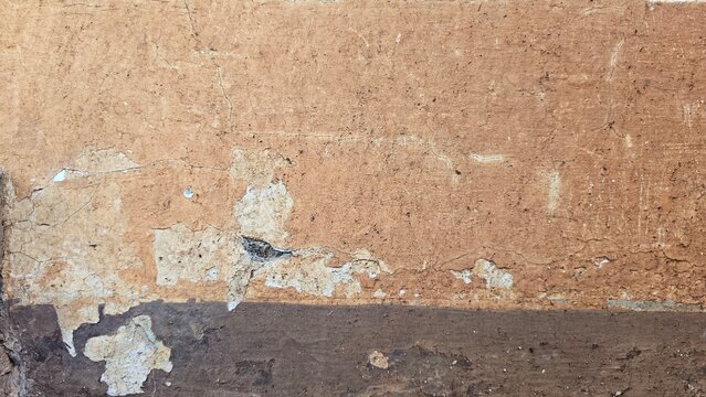 Walls that are already dirty with wooden moldings that have been attacked by termites, texture of damaged wood that is attacked, damaged, and eaten by termites, termite paths, termite nests.