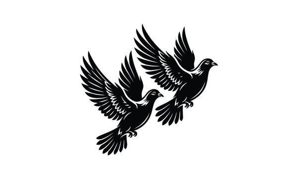 Pair of peace dove, two doves silhouette, peace dove vector, dove pair illustration, love birds design pack, flying doves together, peace symbol graphic, white dove pair, olive branch dove, couple