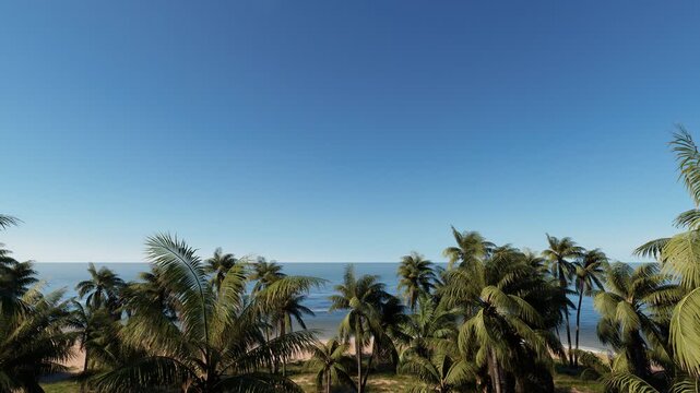 Scenic view of tropical palm trees along a sandy beach with calm ocean waters and clear blue sky, ideal for vacation, summer, and nature themes.