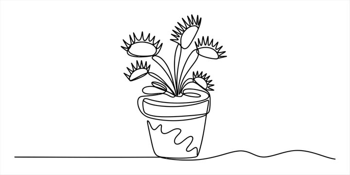 Continuous single line drawing of a venus flytrap plant in a flower pot Vector, illustration