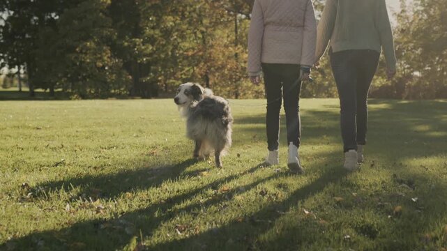 Two women and merle australian shepherd walking on green grass in park on sunny autumn day slow motion.
