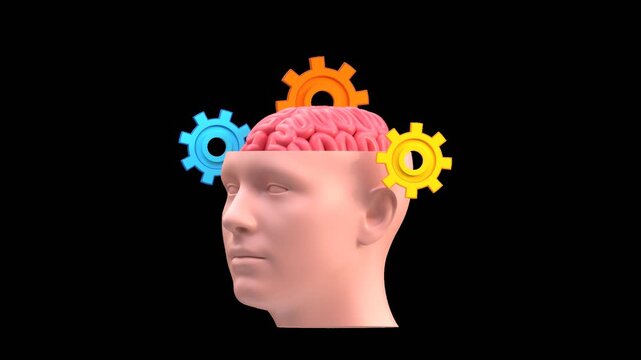 3D Cognitive Process Overview | Alpha Channel