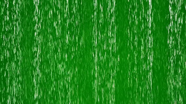 A close-up view of lush green grass swaying gently in the breeze outdoors