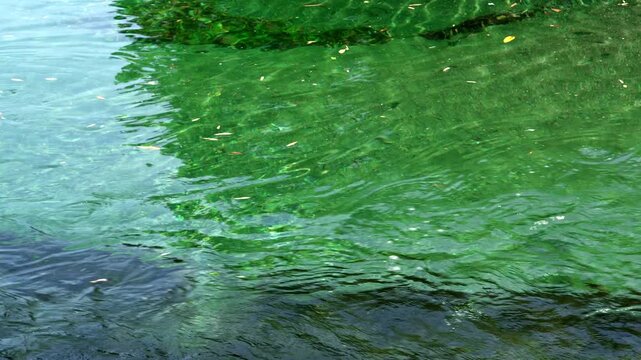 浜松市天竜区 阿多古川の清流をやや高い位置から見下ろす風景