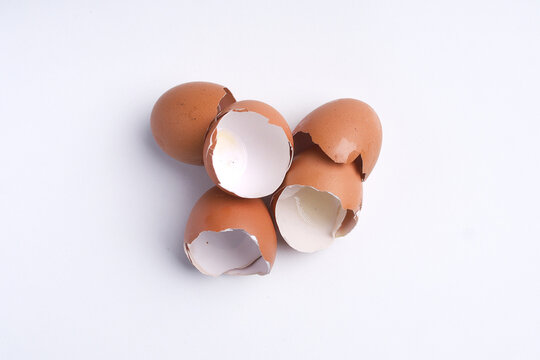 broken egg in a shell