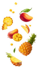 Fototapeta na wymiar Levitating fresh tropical fruits. Sliced and whole pineapple and mango falling in the air on white background. Creative dynamic summer food composition.