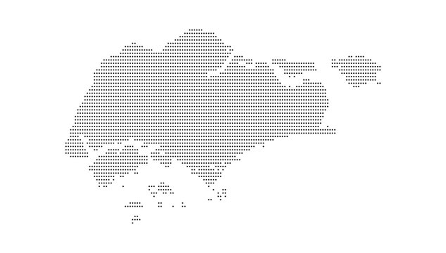 Singapore Street Map Vector Illustration with Urban Road Network, Stylized City Layout, and Metropolitan Geography Design for Cartography, Navigation, Smart City, and Travel Visualization Use