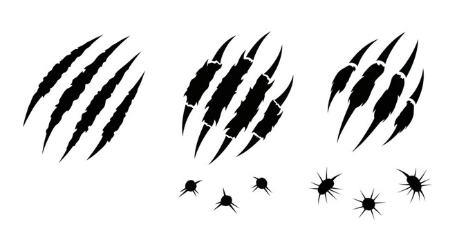 Set of Claw Marks and Scratches