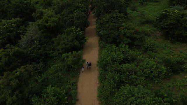 Aerial view of devotees walking on the sacred Govardhan Parvat Parikrama Marg surrounded by lush greenery, Mathura.