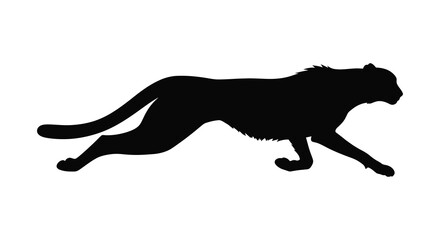 Running cheetah silhouette on a white background © bridal creation