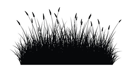 Black grass silhouette against a white background silhouette © bridal creation