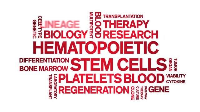 Hematopoietic Stem Cells animated word cloud-text design animation tag kinetic typography seamless loop.