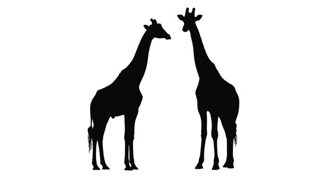 Two giraffes facing each other black silhouette