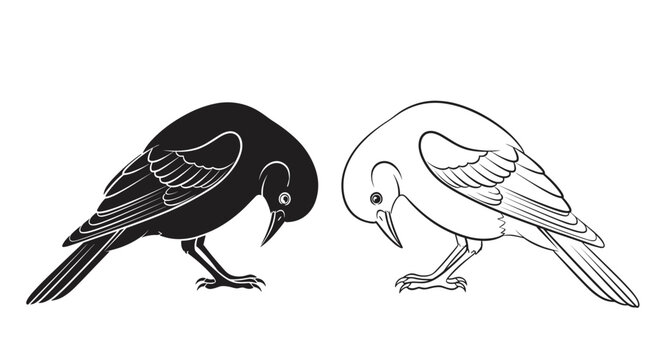 Silhouette and detailed line drawing of a crow or raven are shown side-by-side in a bowing or feeding avian pose.