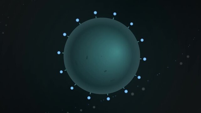 A 3D illustration of a spherical virus with numerous spikes extending from its surface against a dark background, showcasing its intricate structure and cellular interaction