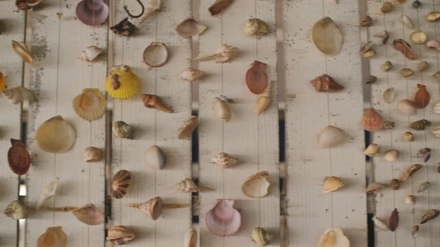 Decorative wooden wall covered with seashells and mollusk shells creating marine themed texture. Coastal decoration concept