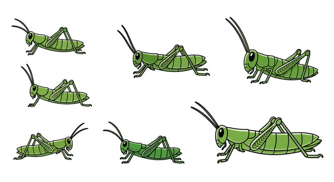 Green grasshoppers in various poses.
