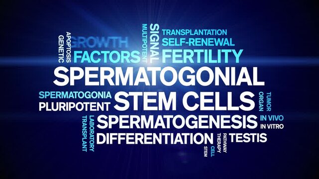Spermatogonial Stem Cells animated word cloud-gross domestic product animation tag kinetic typography seamless loop.