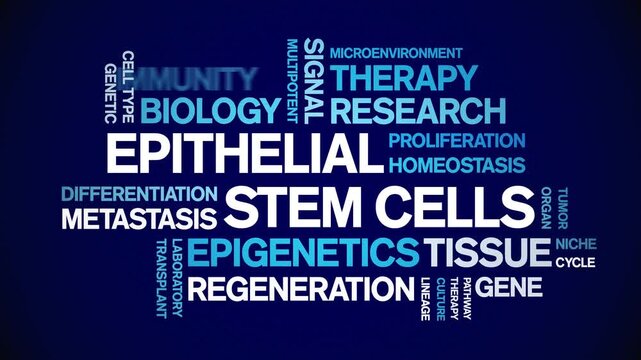 Epithelial Stem Cells animated word cloud-gross domestic product animation tag kinetic typography seamless loop.