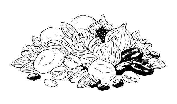 Heap of healthy organic nuts and dried fruits line art illustration. Almonds, walnuts, and figs hand drawn botanical vector drawing