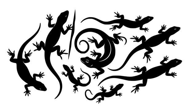 Artistic lizard silhouettes cluster pattern. Group of black geckos and reptiles solid shapes isolated on white background.