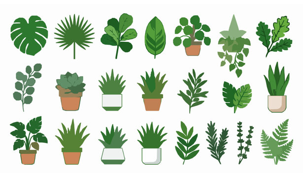 Houseplants and indoor green decor plants in pots vector illustration set. Hand drawn flat botanical collection of tropical leaves isolated on white.
