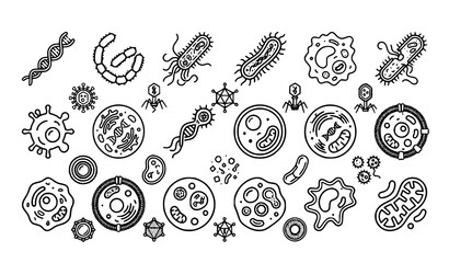 Naklejka premium Bacteria, viruses, germs, and amoeba microorganisms line art composition. Scientific biology research and medical health vector illustration.
