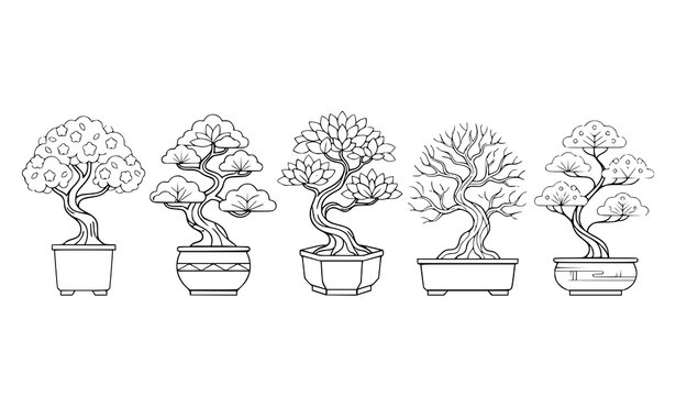 Japanese bonsai trees in ceramic pots line art illustration set. Traditional Asian miniature trees botanical sketch collection.